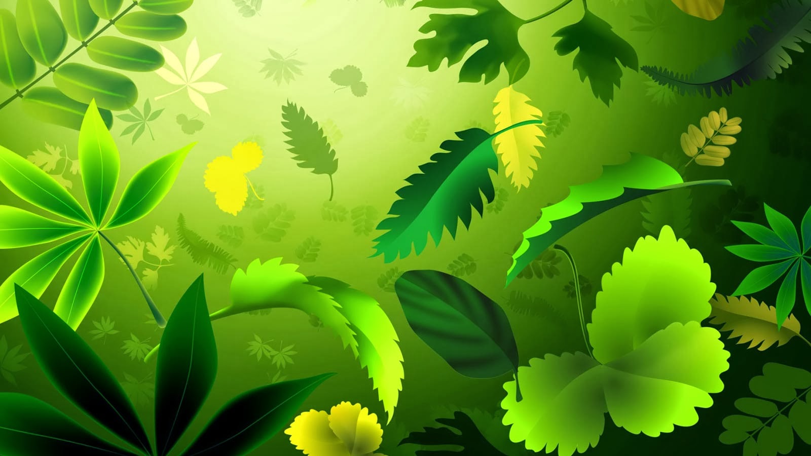 unique wallpaper download,leaf,green,nature,vegetation,natural environment