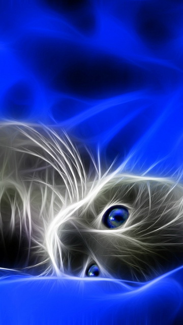 モバイル用の美しい3d壁紙,青い,ひげ,ネコ,エレクトリックブルー,ネコ科