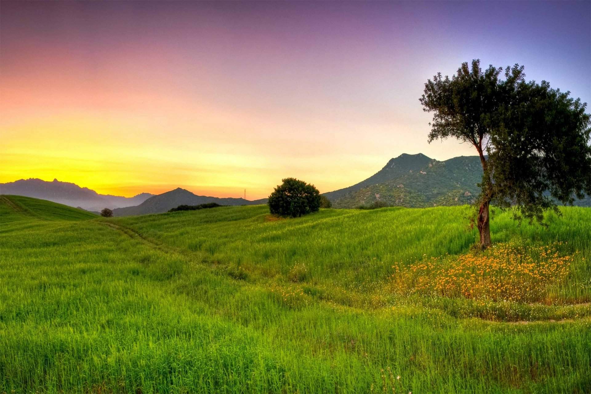 ultimi bellissimi sfondi,paesaggio naturale,natura,cielo,prateria,verde