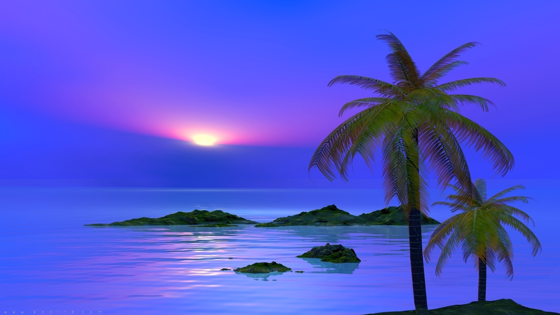 Blue Palm Tree Sunset- WallpaperUse