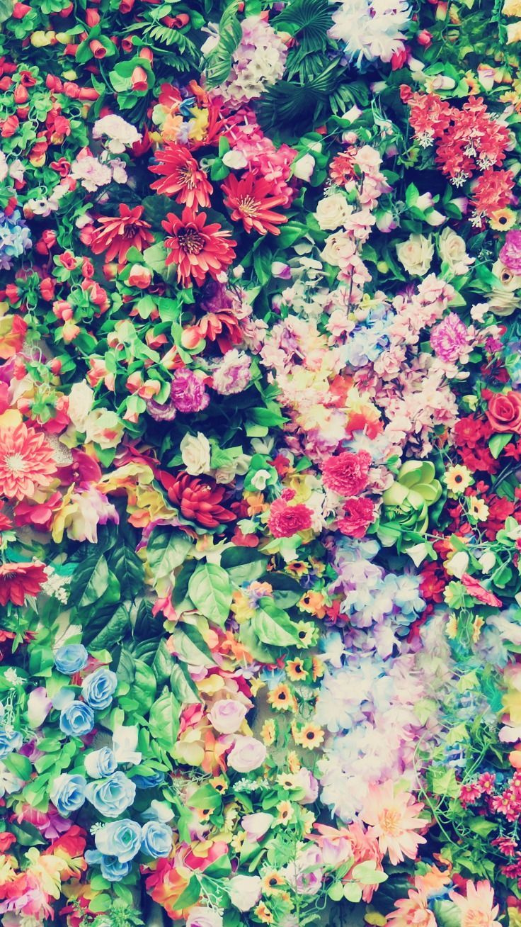 cute iphone 7 plus wallpaper,pink,pattern,flower,plant,floral design