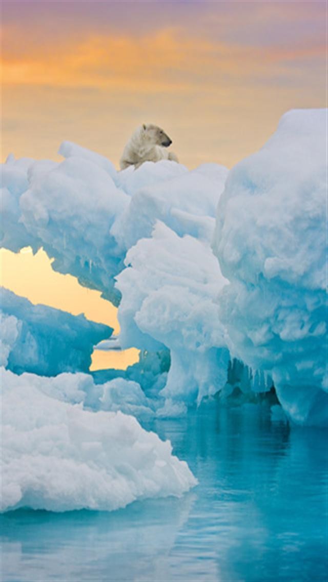 リラックスしたiphoneの壁紙,氷山,空,北極,北極海,海洋