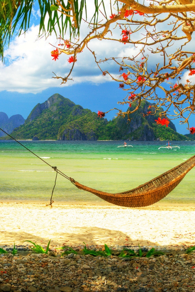 relaxing iphone wallpaper,hammock,natural landscape,nature,tree,shore