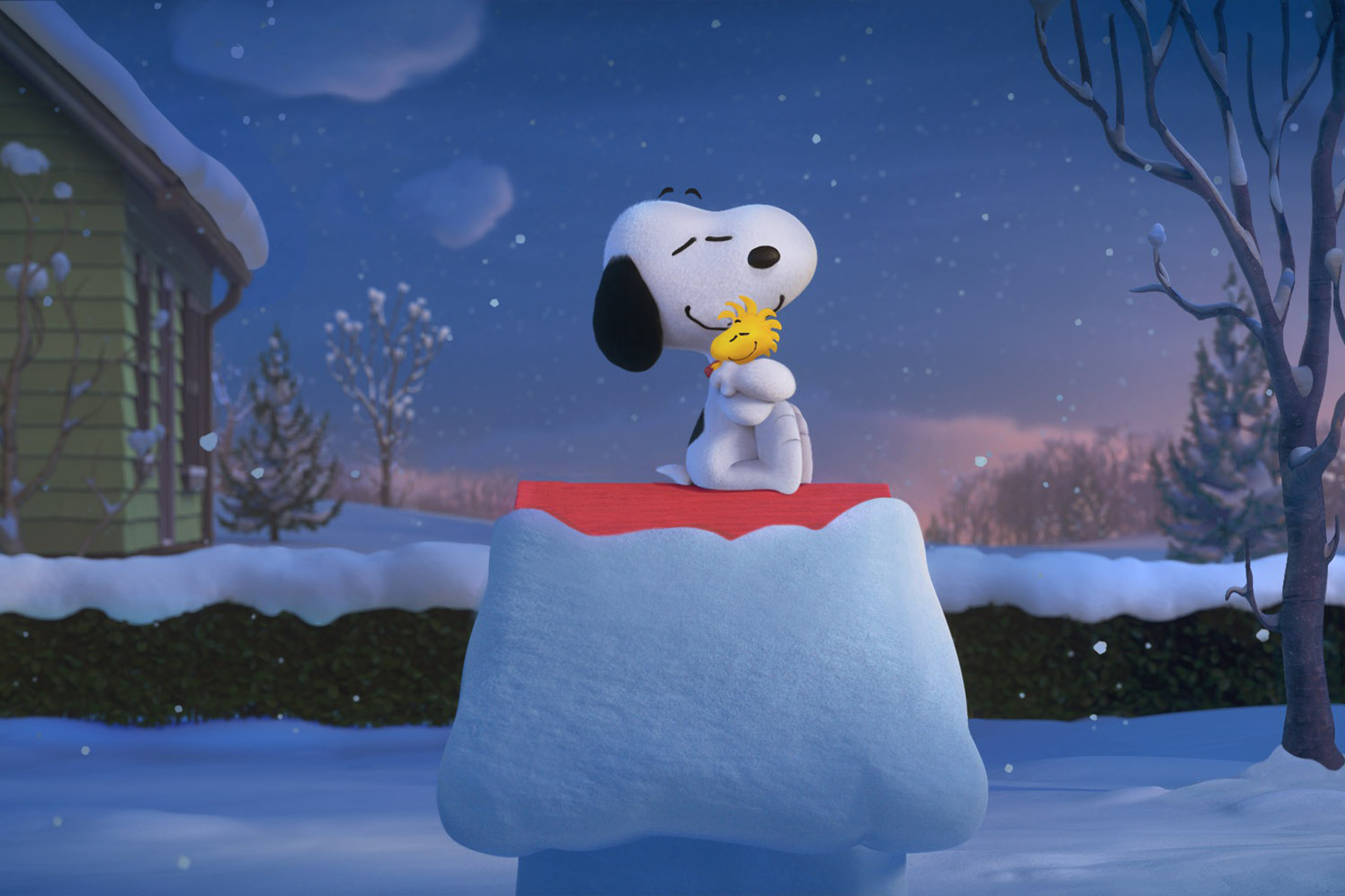 snoopy christmas wallpaper,snow,winter,sky,freezing,ice