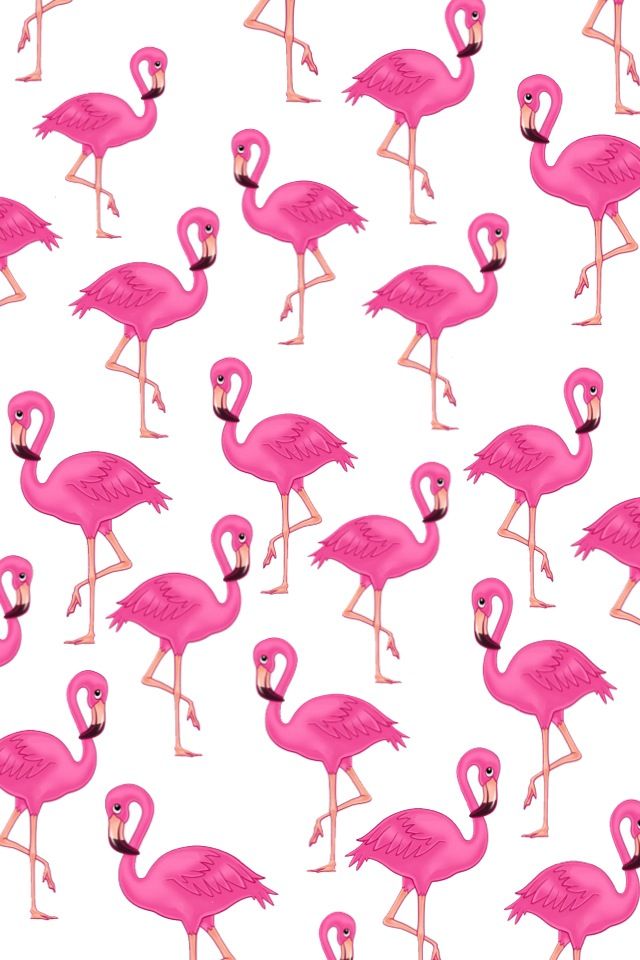 we heart it iphone wallpaper,flamingo,greater flamingo,pink,bird,water bird