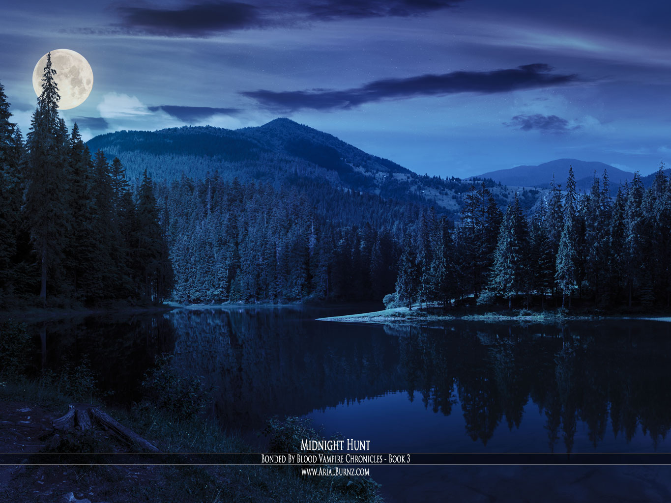 bur fondo de pantalla,naturaleza,cielo,paisaje natural,reflexión,luz de la luna