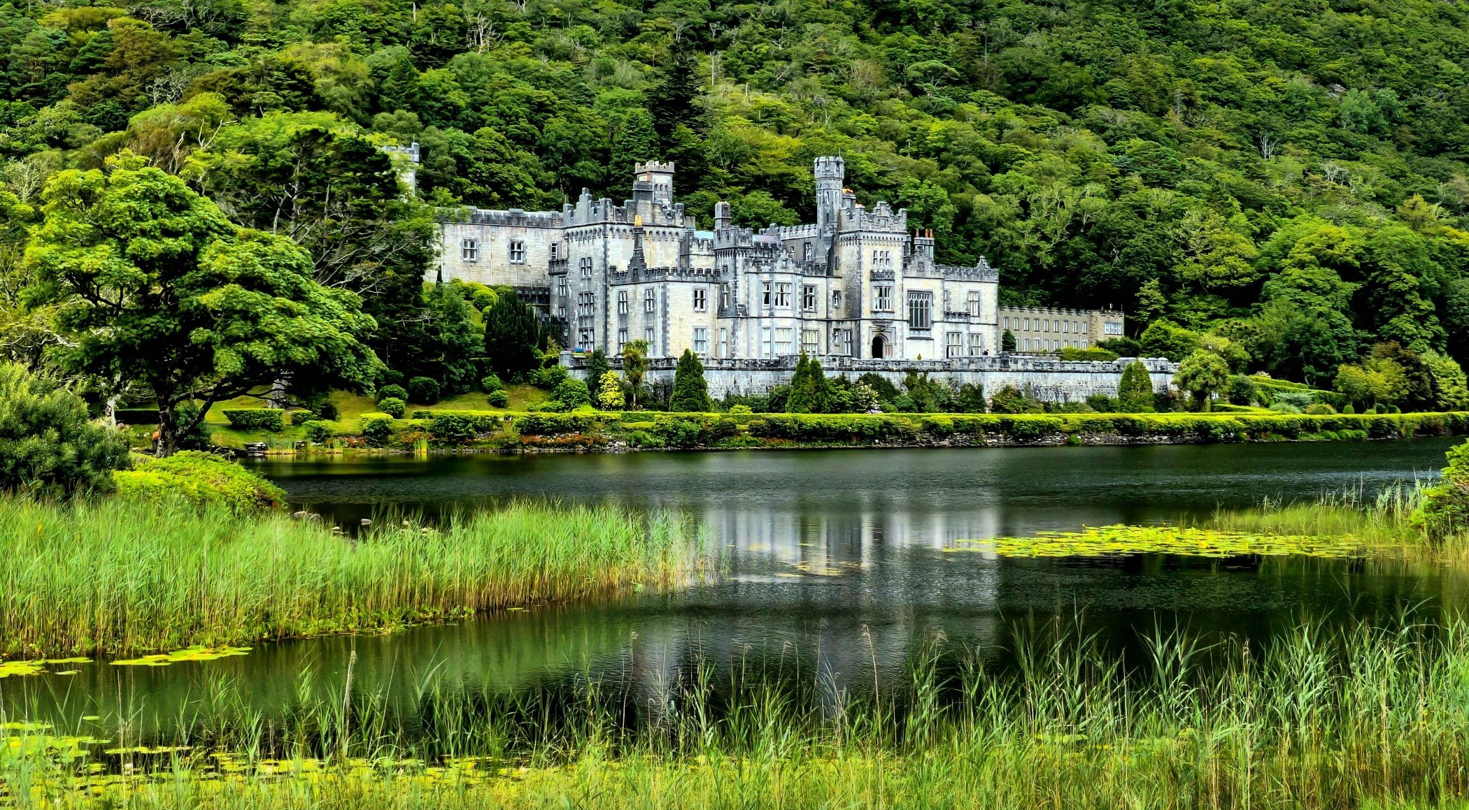 ireland desktop wallpaper,natural landscape,nature,reflection,green,vegetation