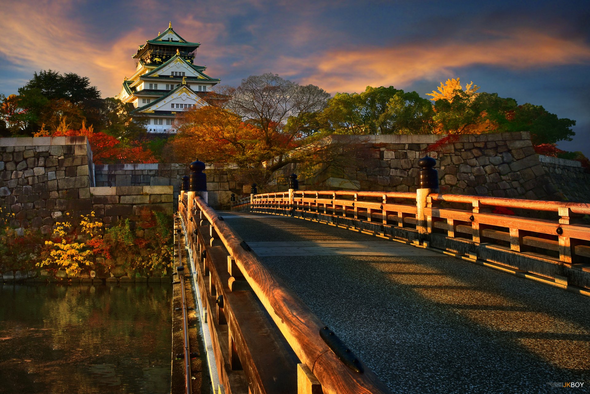 오사카 벽지,자연,하늘,자연 경관,나무,밤