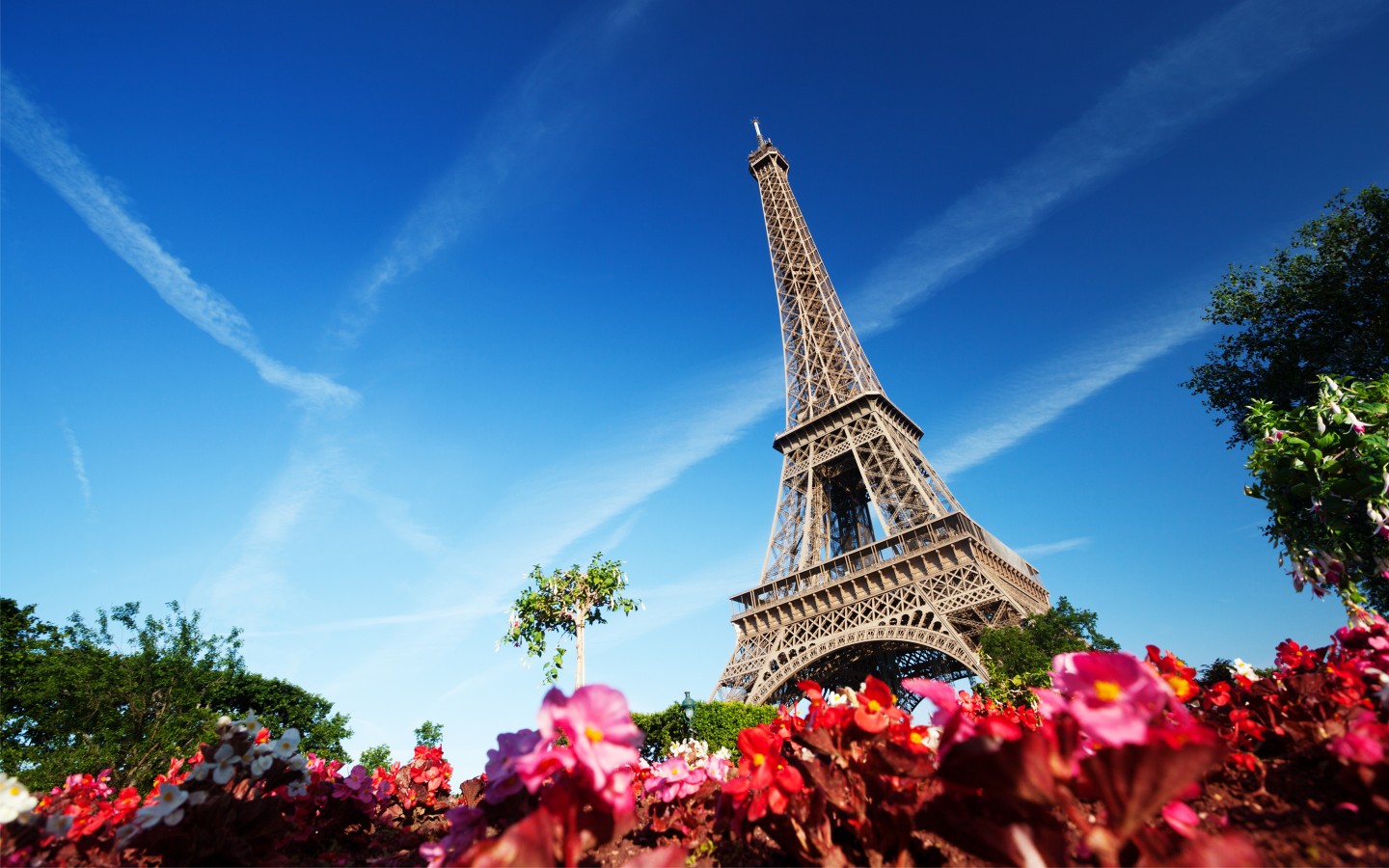 paris desktop hintergrund,himmel,die architektur,wolke,turm,blume