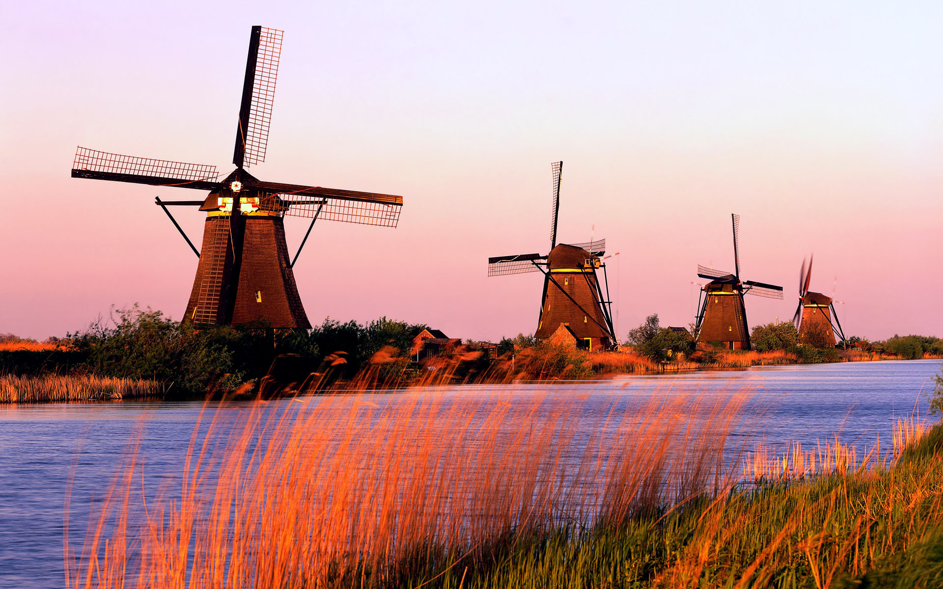 niederlande tapete,windmühle,windkraftanlage,himmel,natürliche landschaft,morgen