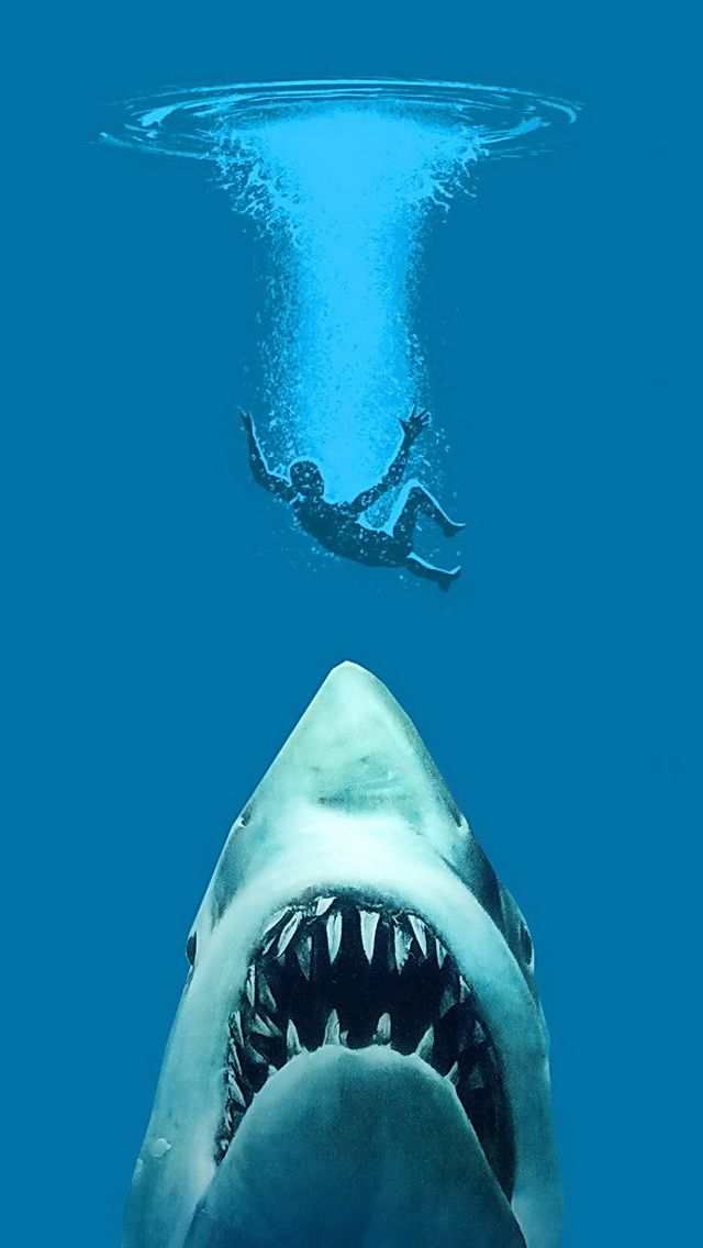fond d'écran iphone requin,requin tigre de sable,grand requin blanc,requin,requin baleine,requin tigre