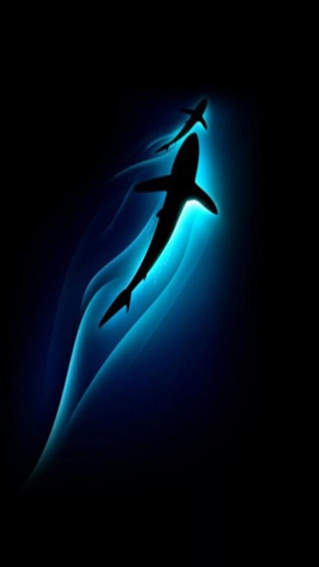 tiburón fondo de pantalla para iphone,azul eléctrico,agua,agua,fotografía,stock photography