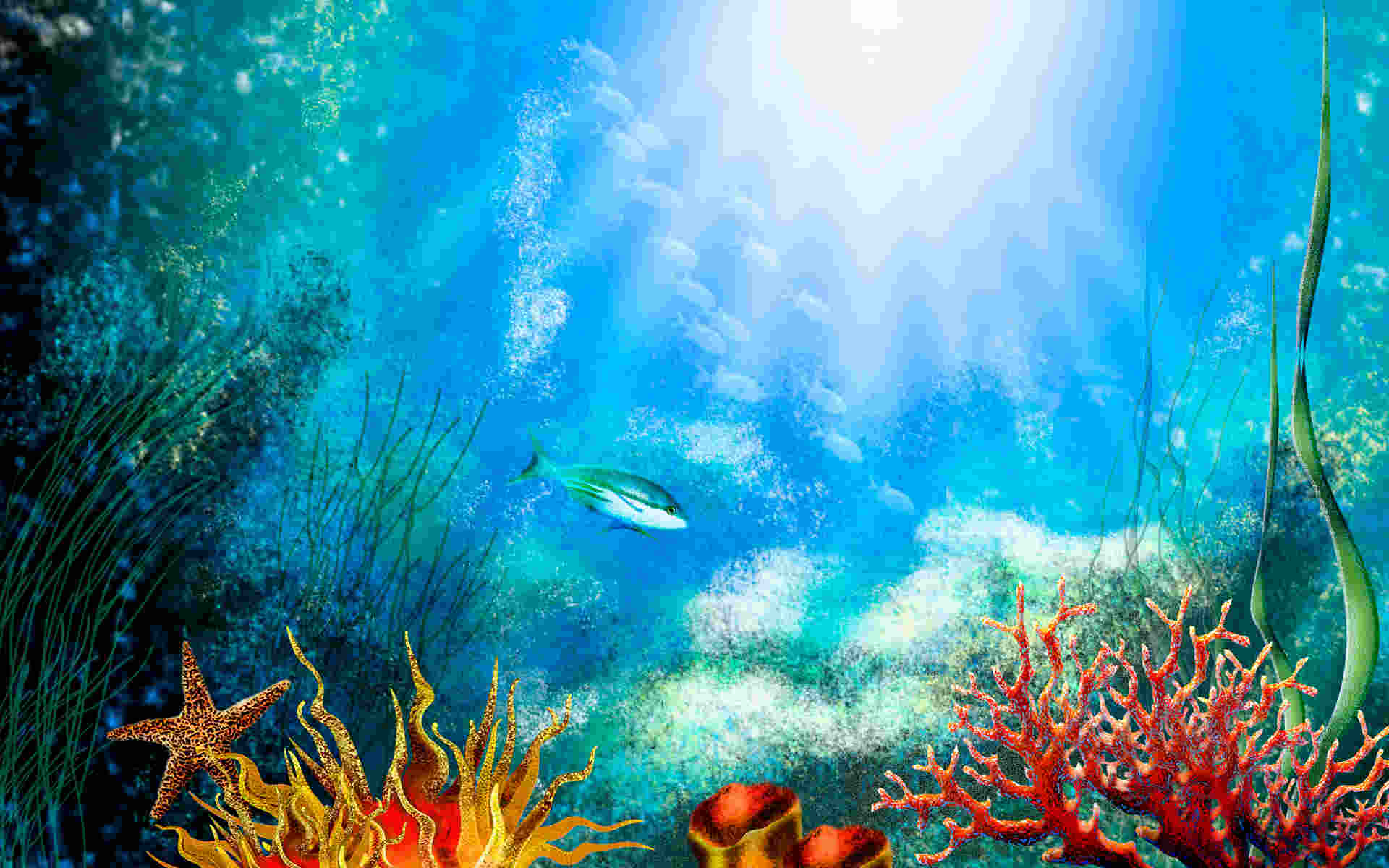 free aquarium wallpaper,underwater,marine biology,coral reef,natural environment,reef