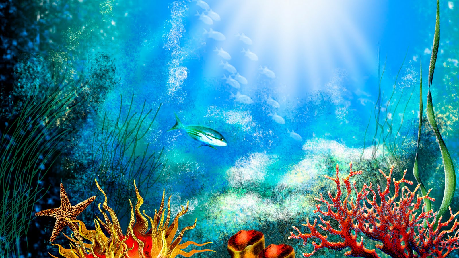 水族館壁紙hd,水中,海洋生物学,サンゴ礁,サンゴ礁の魚,リーフ