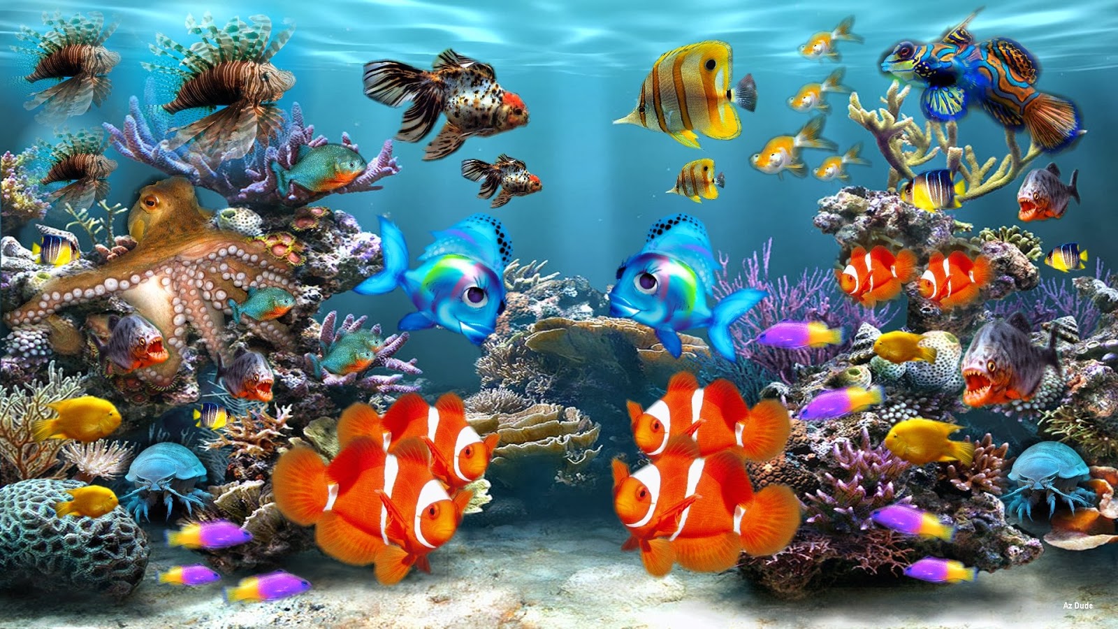 acquario wallpaper hd,biologia marina,pesci di barriera corallina,barriera corallina,pesce,subacqueo