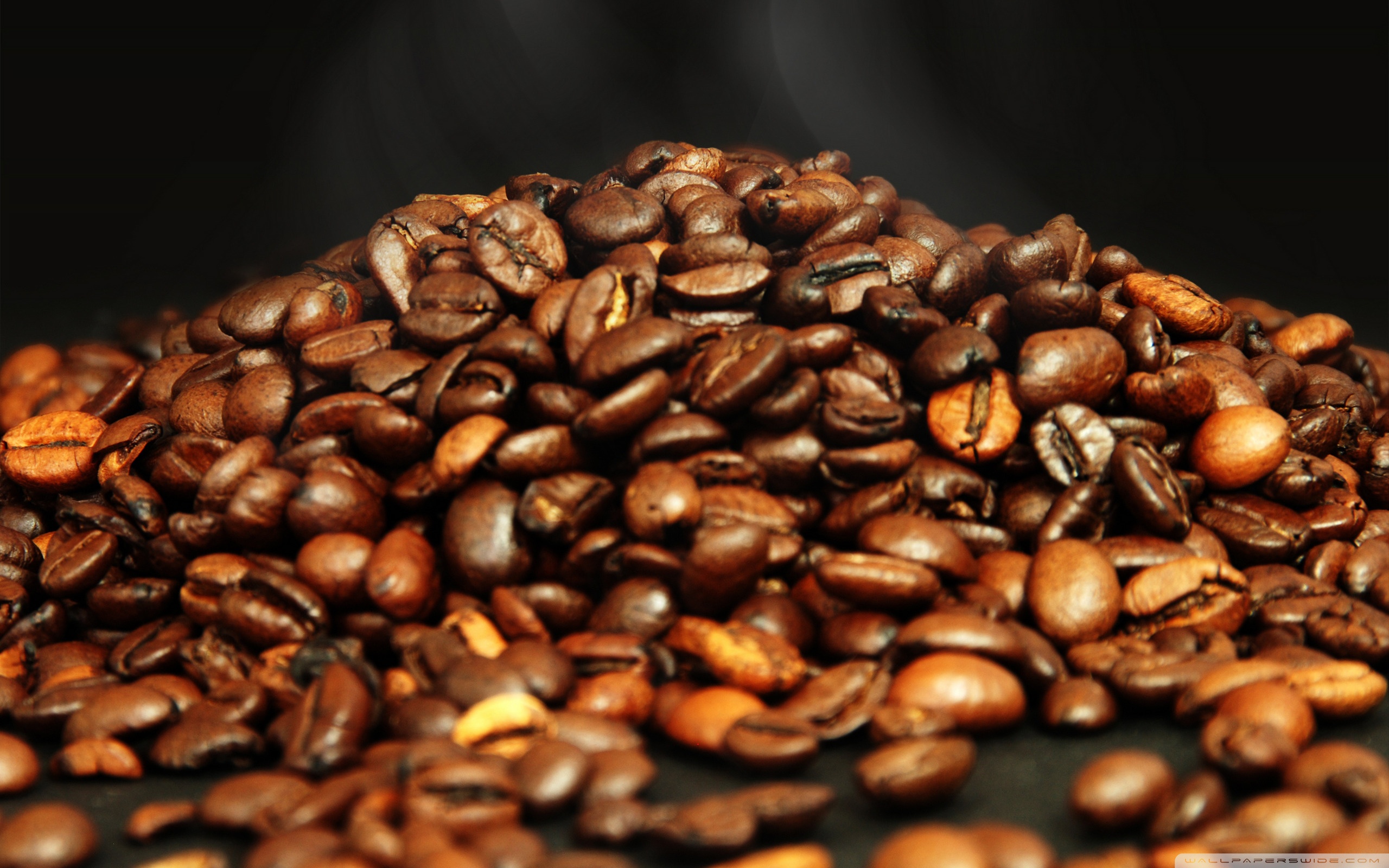 bean wallpaper,caffeine,single origin coffee,java coffee,kapeng barako,jamaican blue mountain coffee