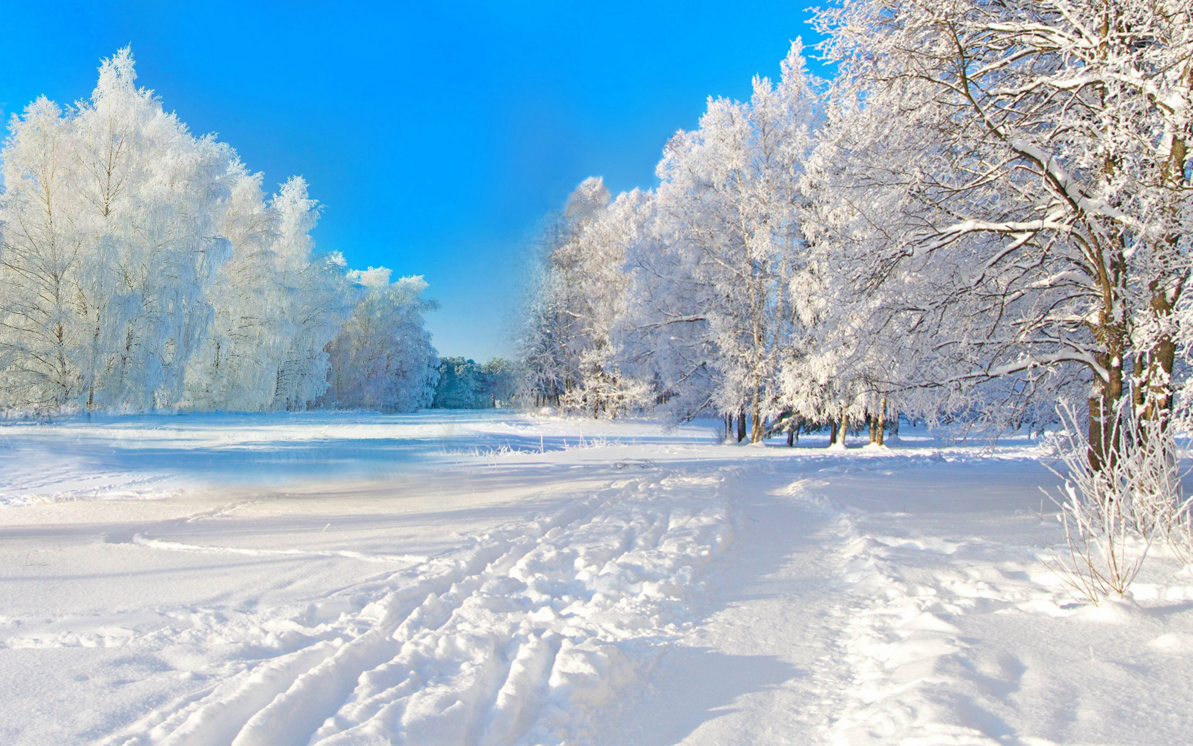 冬の壁紙4k,雪,冬,自然の風景,自然,空