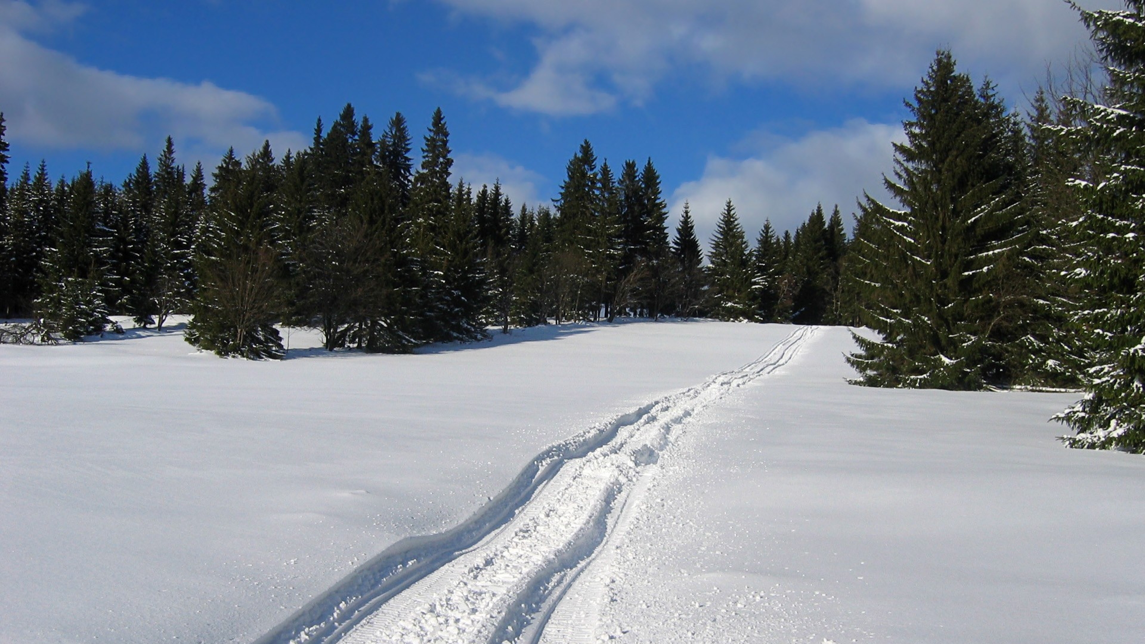 winter wallpaper 4k,snow,winter,tree,geological phenomenon,sky