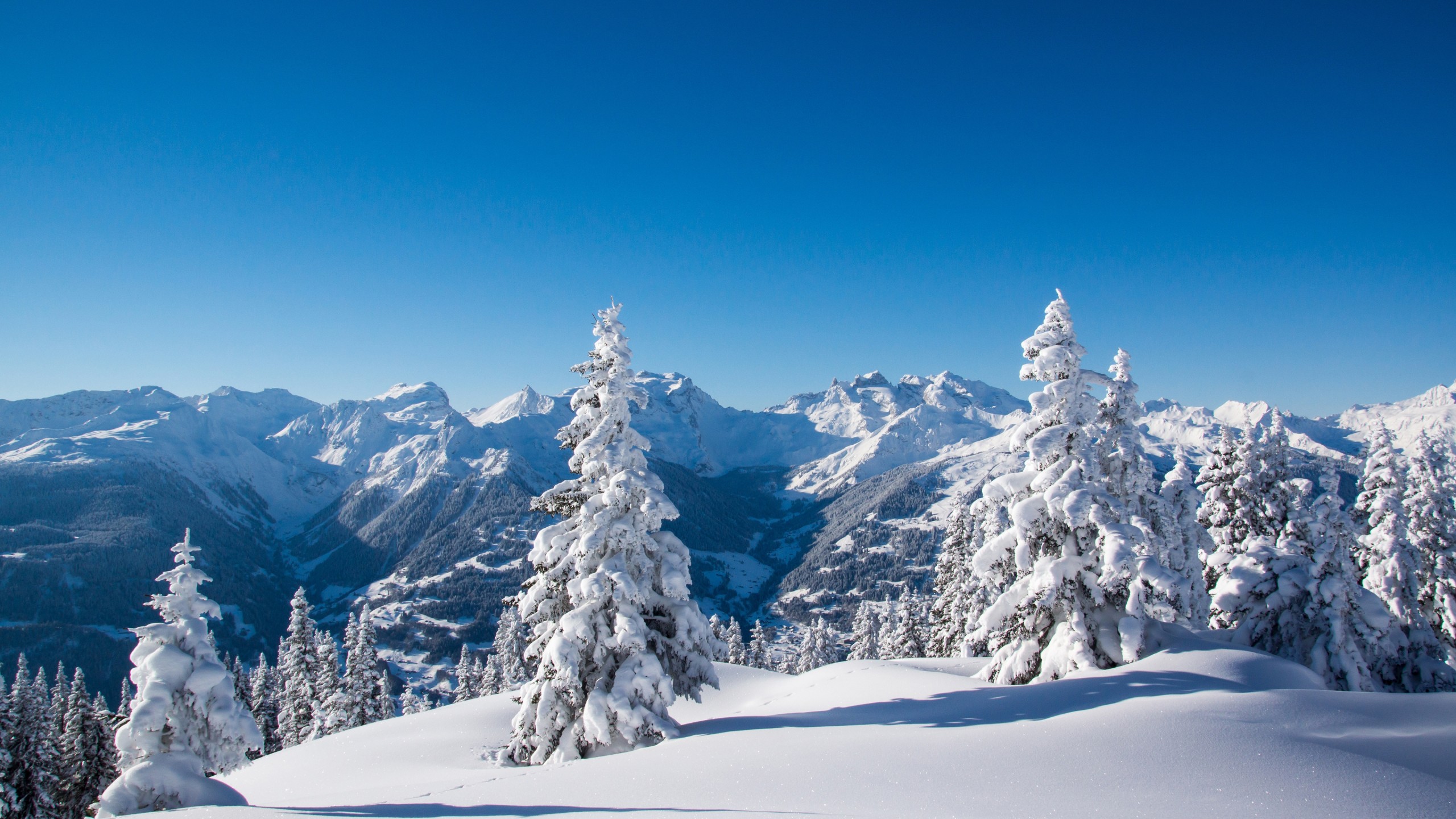 fond d'écran d'hiver 4k,neige,hiver,montagne,chaîne de montagnes,arbre