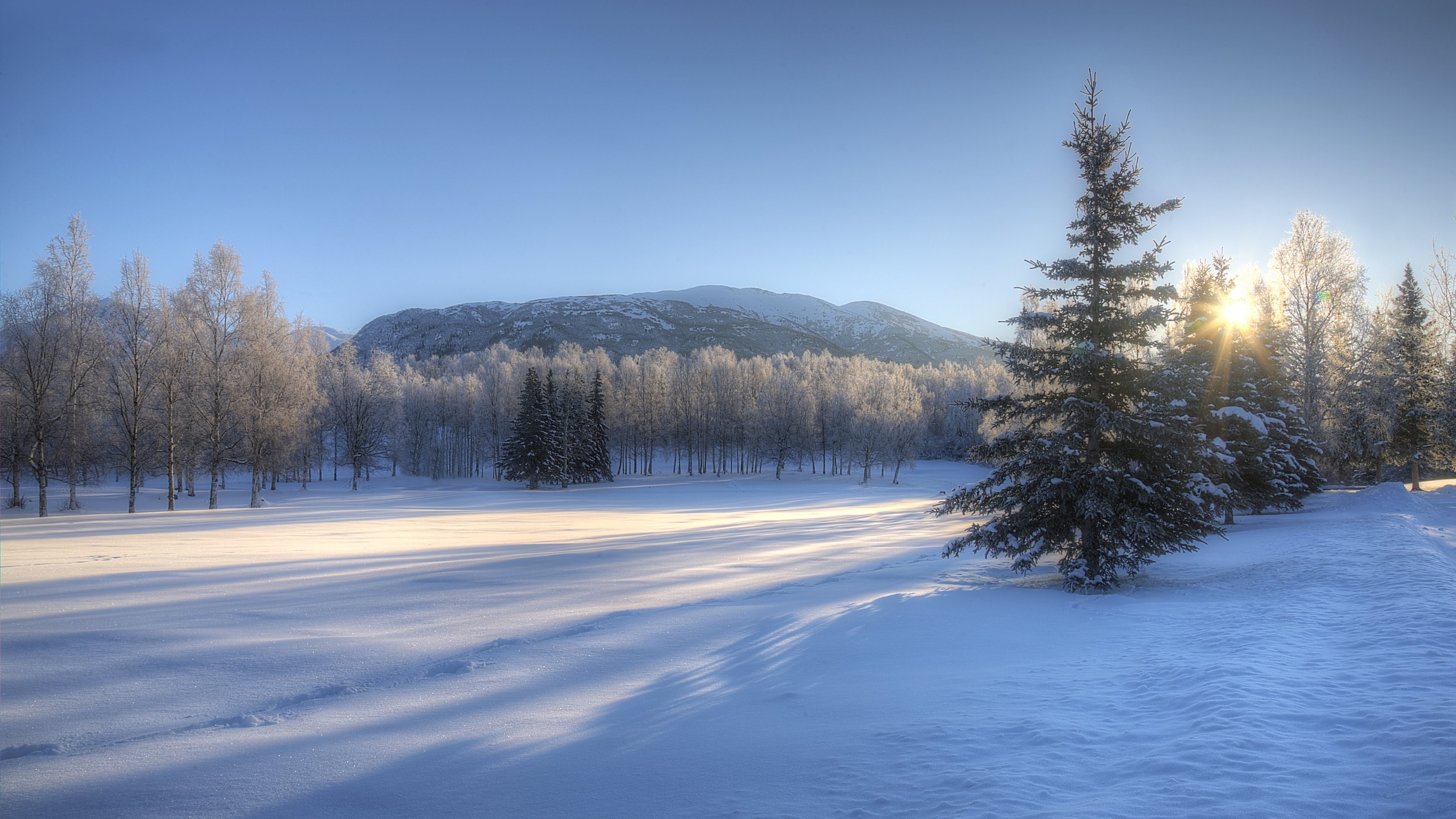 wintertapete 4k,schnee,winter,himmel,natur,baum