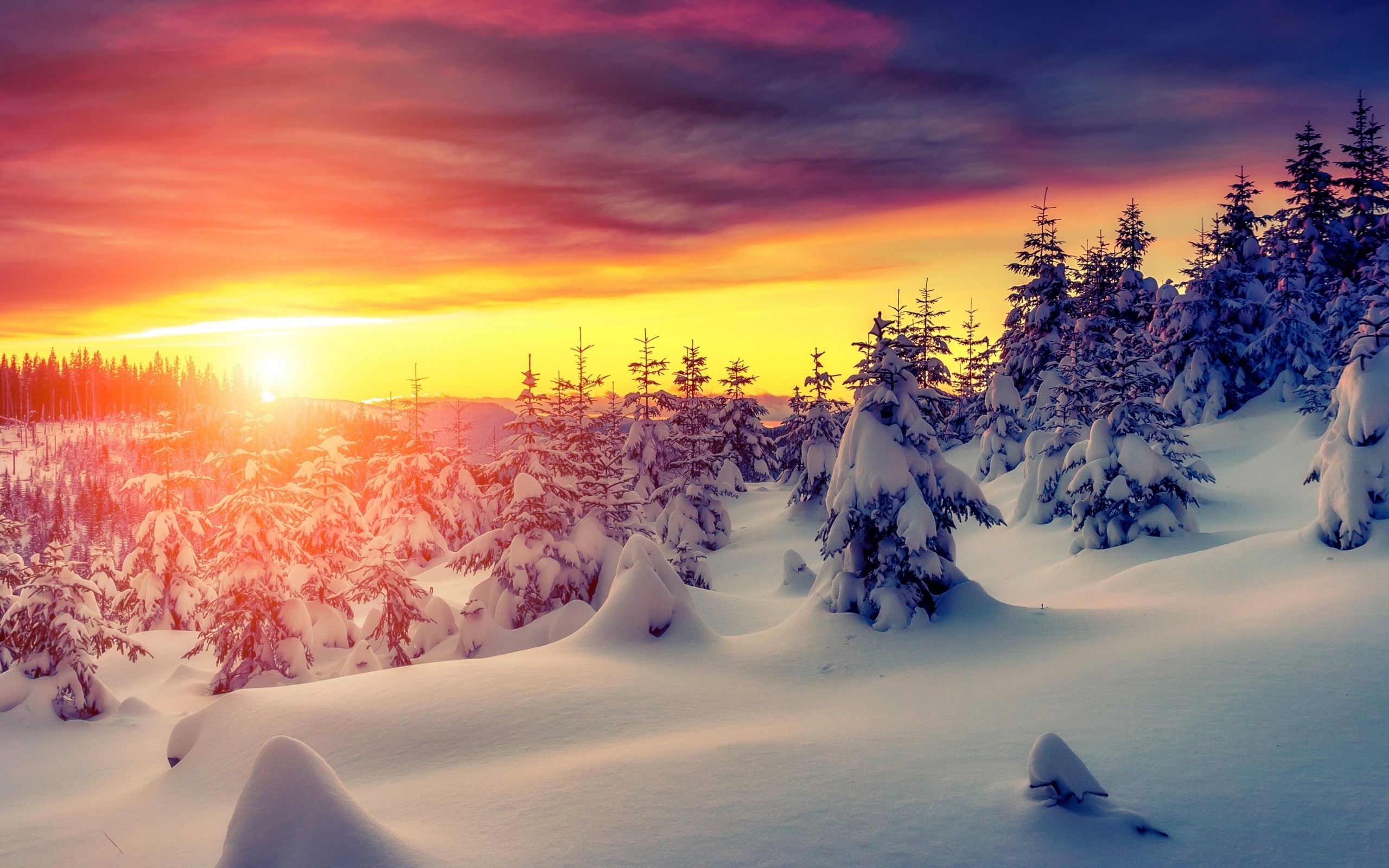 冬の壁紙4k,空,雪,冬,自然,自然の風景