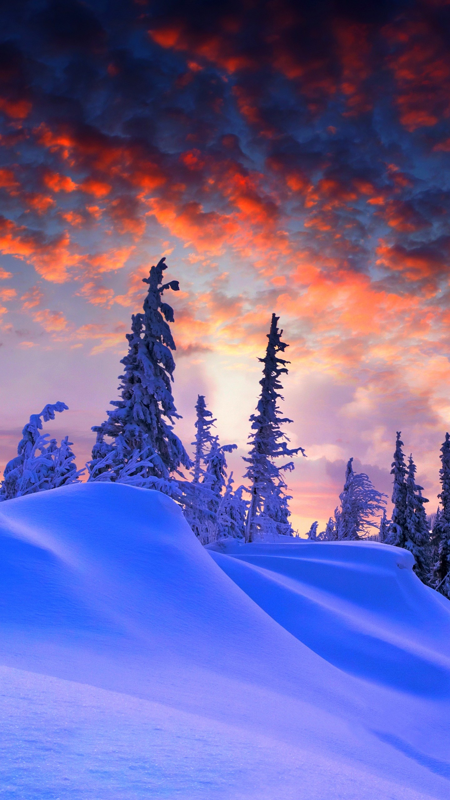 winter wallpaper 4k,snow,nature,sky,winter,tree