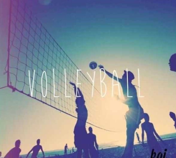 fonds d'écran de volley ball pour votre téléphone,volley ball,ciel,foule,beach volley,illustration