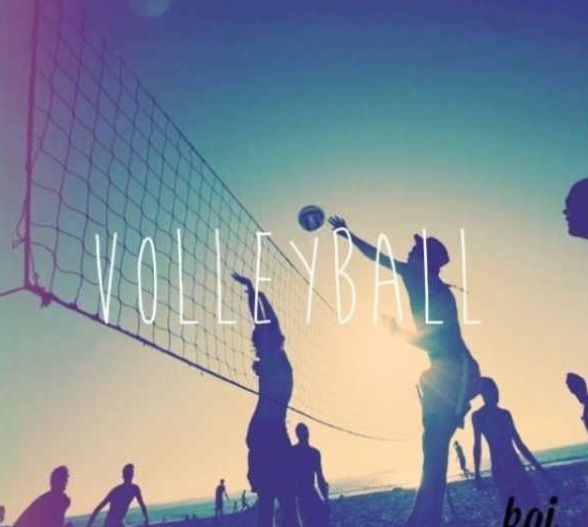 fondos de pantalla de voleibol para tu teléfono,vóleibol,cielo,multitud,voleibol de playa,ilustración