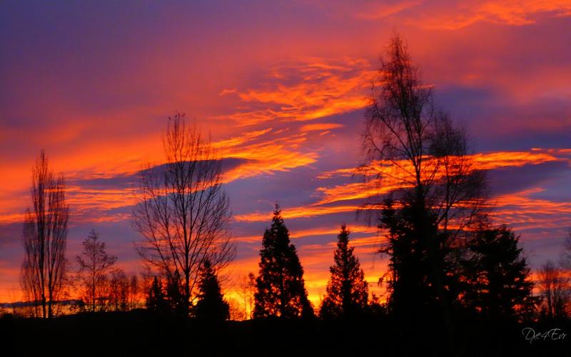 papier peint nord ouest pacifique,ciel,ciel rouge au matin,rémanence,la nature,le coucher du soleil