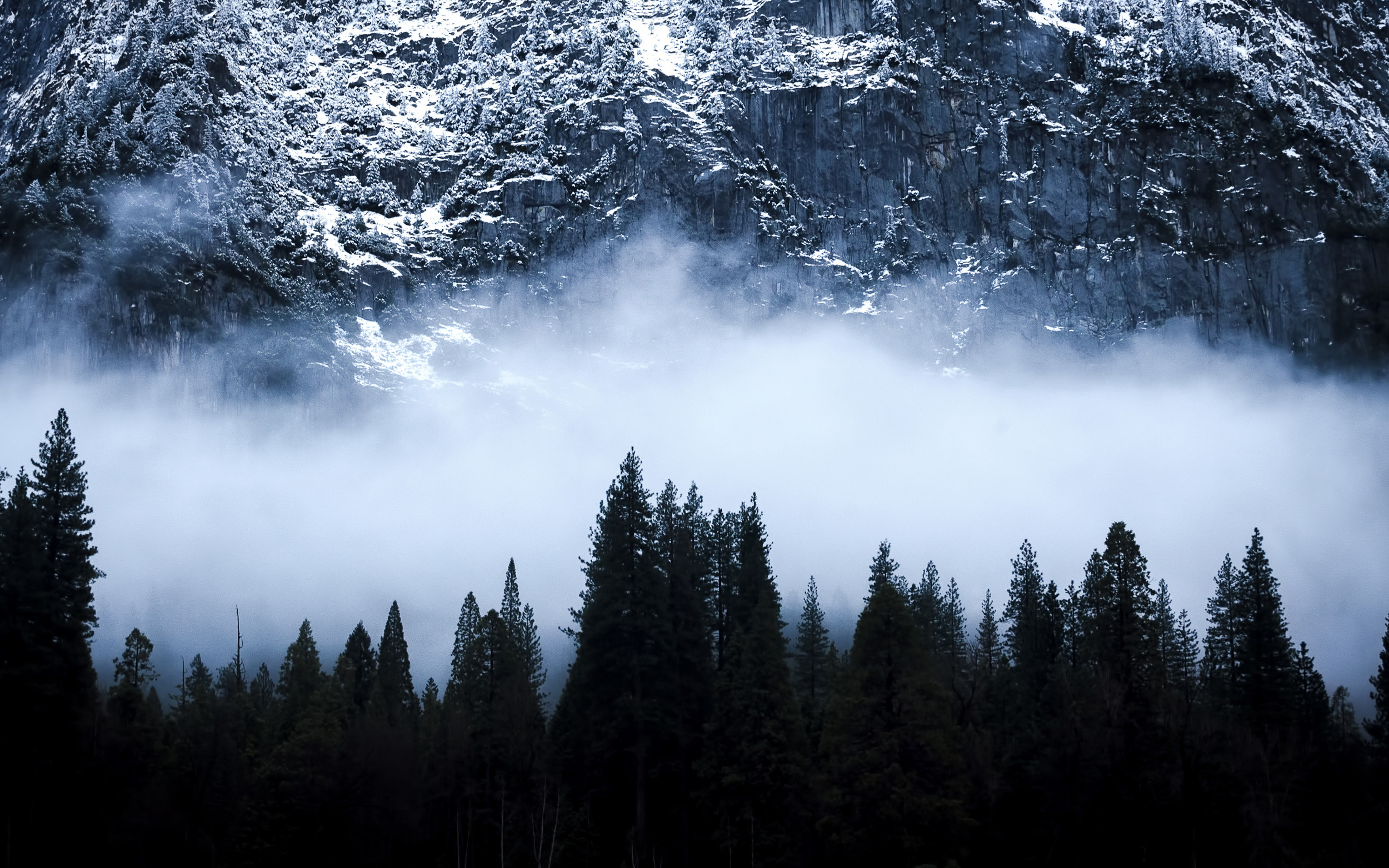 fondo de pantalla del noroeste del pacífico,cielo,naturaleza,árbol,paisaje natural,niebla