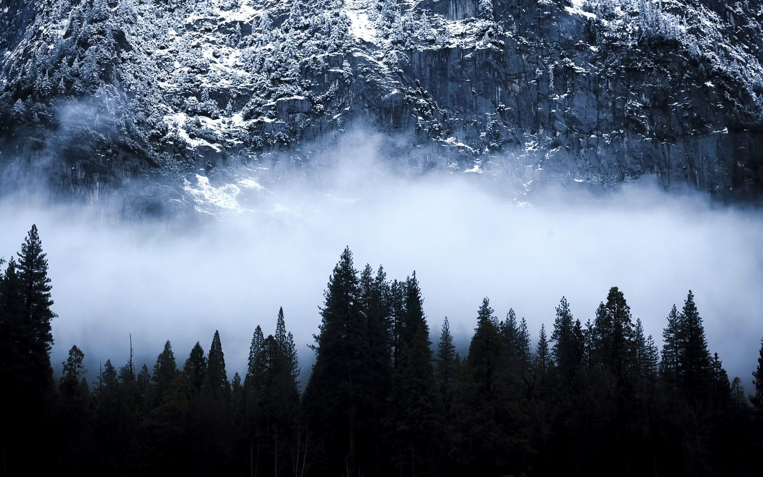 pazifischer nordwesten tapete,himmel,natur,baum,natürliche landschaft,nebel