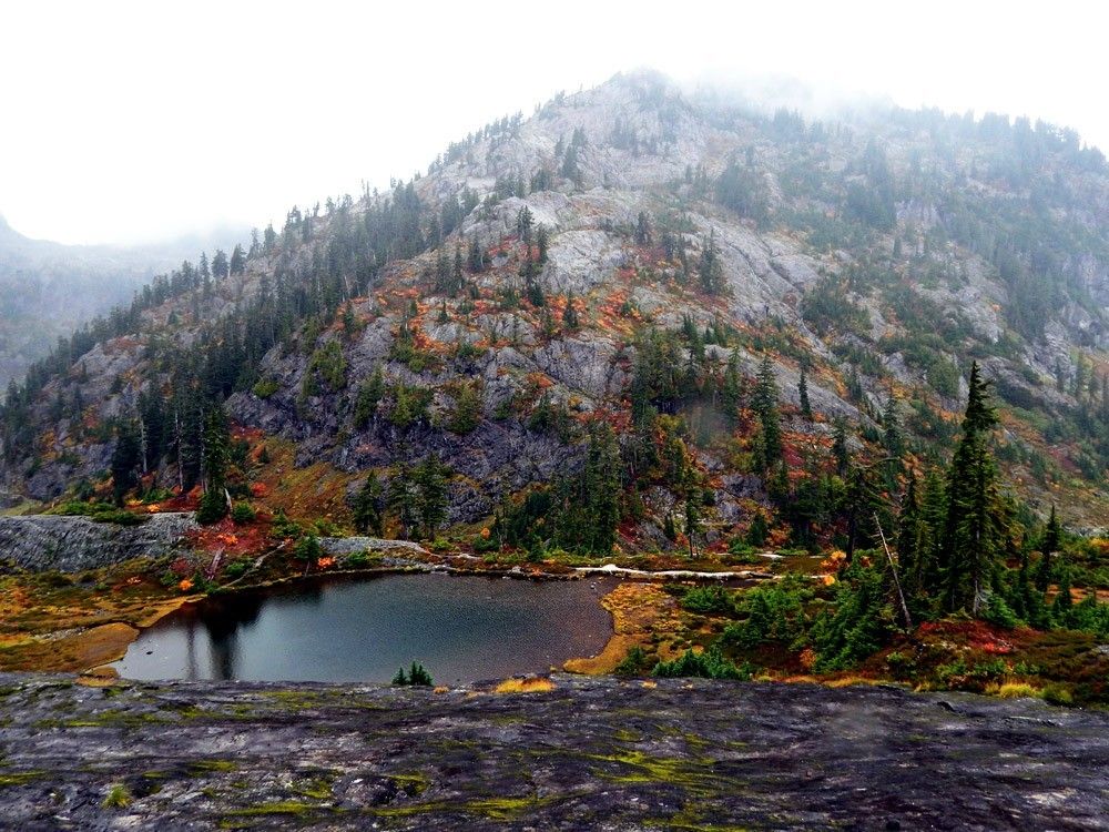 pazifischer nordwesten tapete,natürliche landschaft,natur,berg,bergstation,tarn