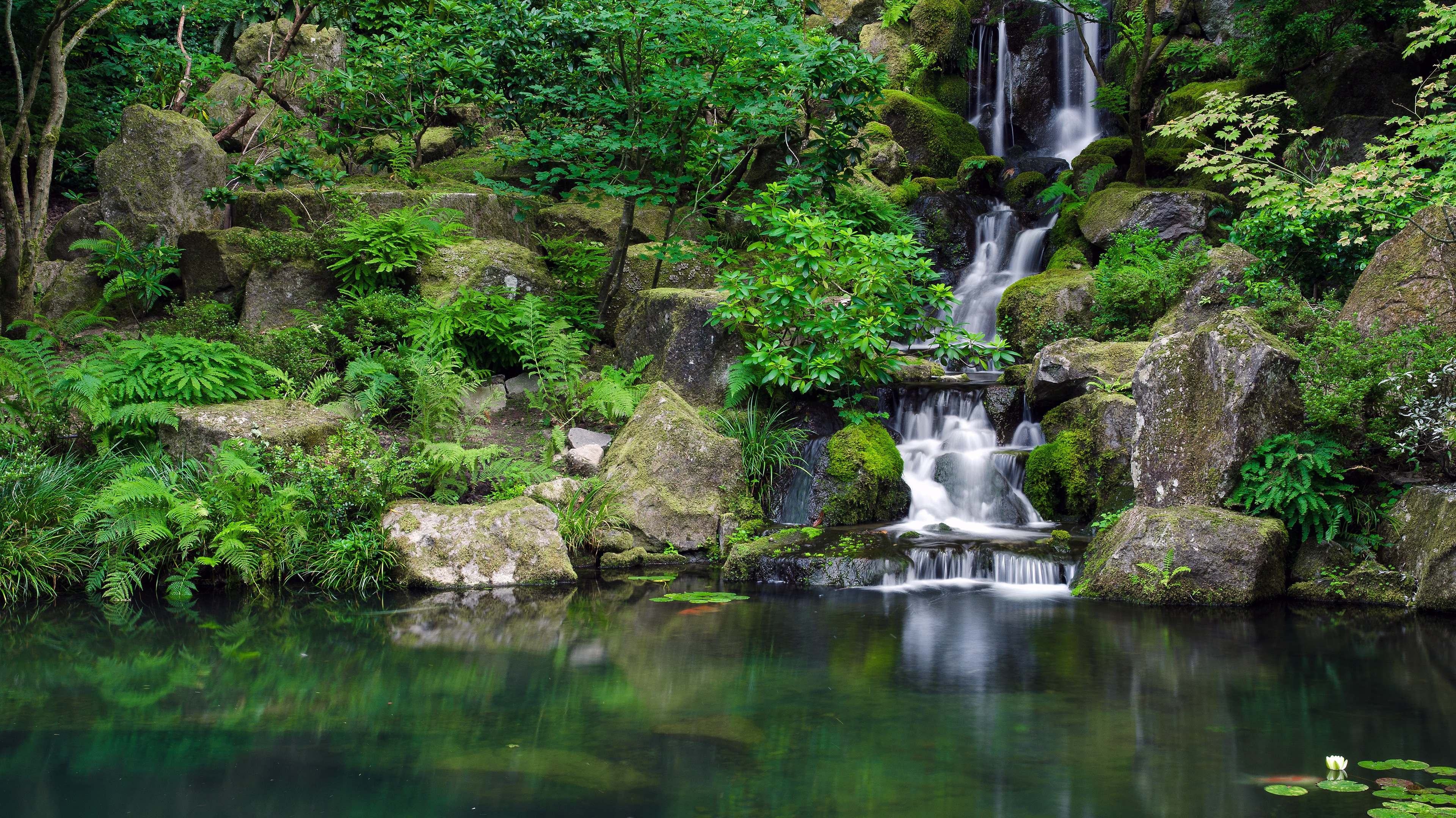 4k forest wallpaper,waterfall,body of water,water resources,natural landscape,nature
