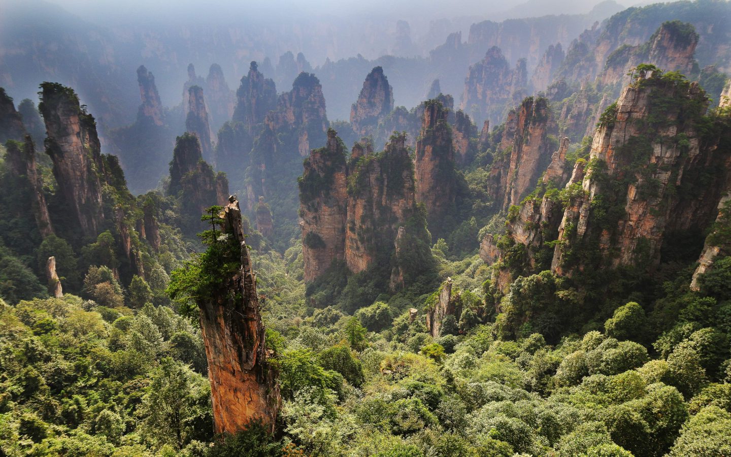 4k waldtapete,natürliche landschaft,natur,berg,bergstation