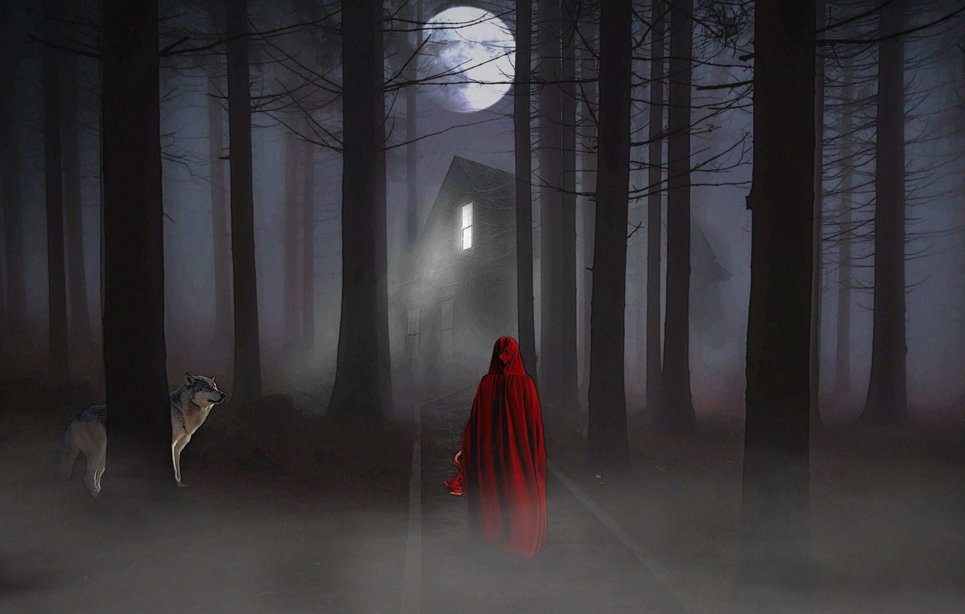 red riding hood wallpaper,atmospheric phenomenon,darkness,natural environment,forest,tree