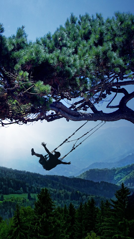 rocking wallpapers hd,swing,tree,extreme sport,jungle,leisure