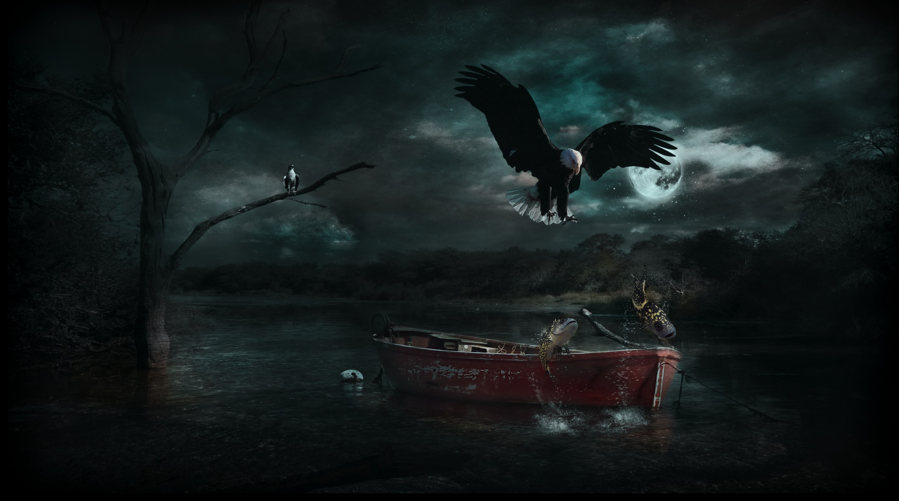 photoshop wallpaper hd,darkness,sky,bird,cg artwork,bird of prey
