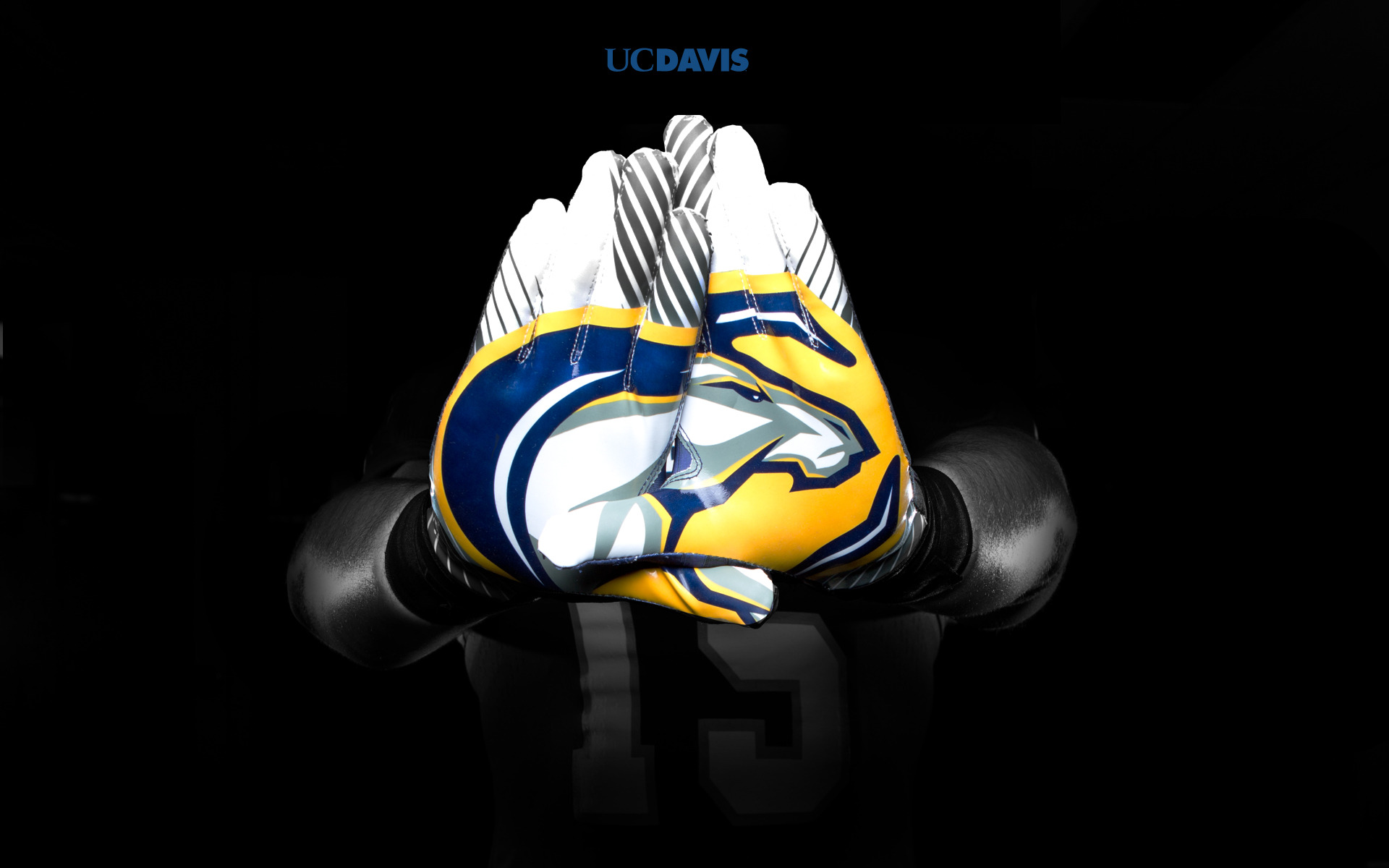 Uc Davis Football Computer WallpaperUse