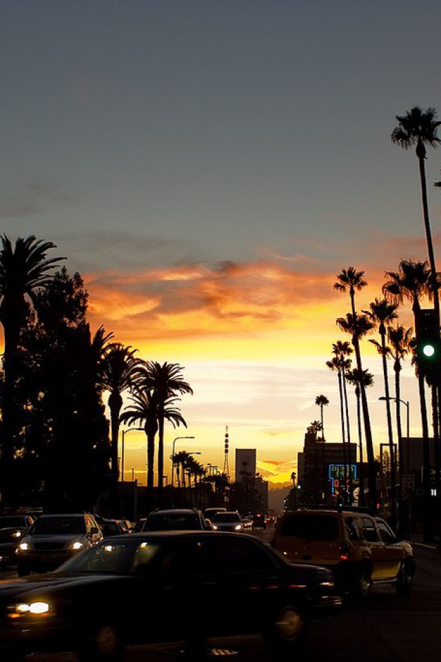 ロサンゼルスの携帯電話の壁紙,空,日没,木,イブニング,ヤシの木