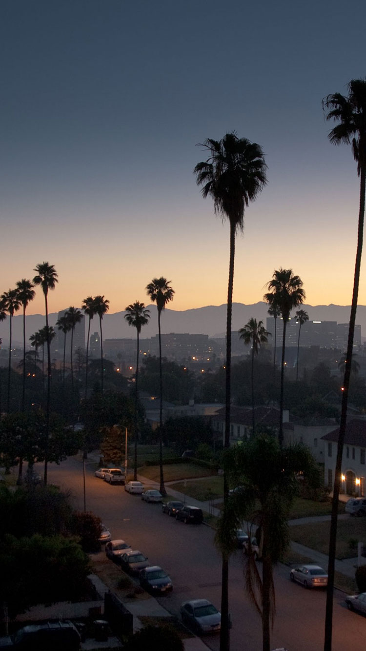 los angeles phone wallpaper,nature,sky,tree,palm tree,atmospheric phenomenon