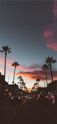 la iphone wallpaper,sky,nature,tree,palm tree,sunset