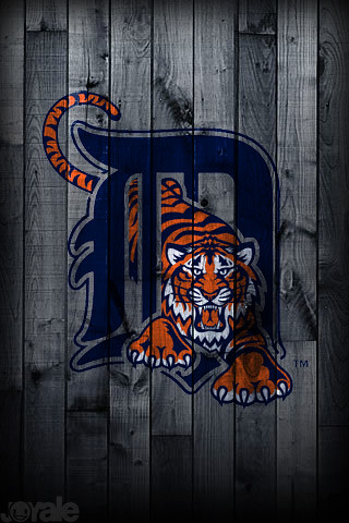 detroit tiger tapete,tiger,felidae,bengalischer tiger,schriftart,kunst