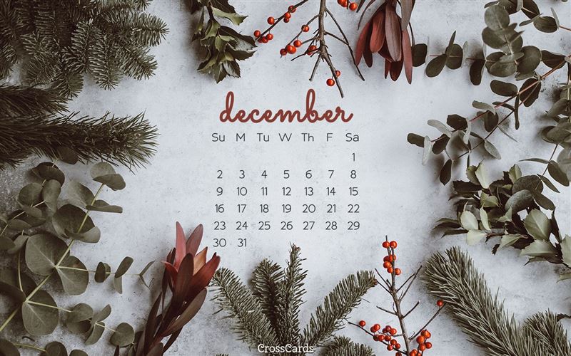 12 월 달력 벽지,나무,본문,겨울,전나무,크리스마스