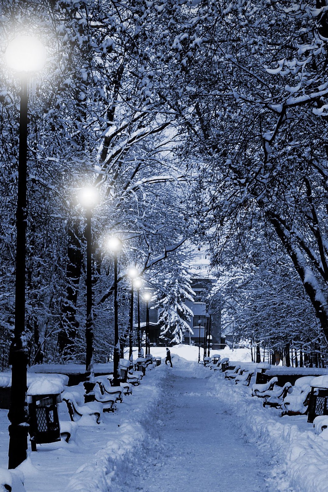 winter christmas wallpaper,snow,winter,nature,sky,tree