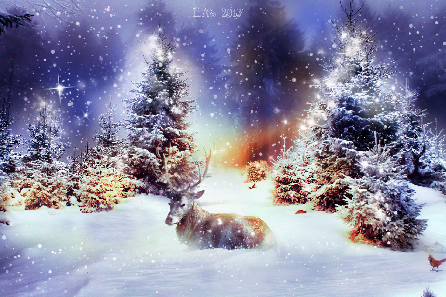 winter christmas wallpaper,nature,winter,sky,natural landscape,light