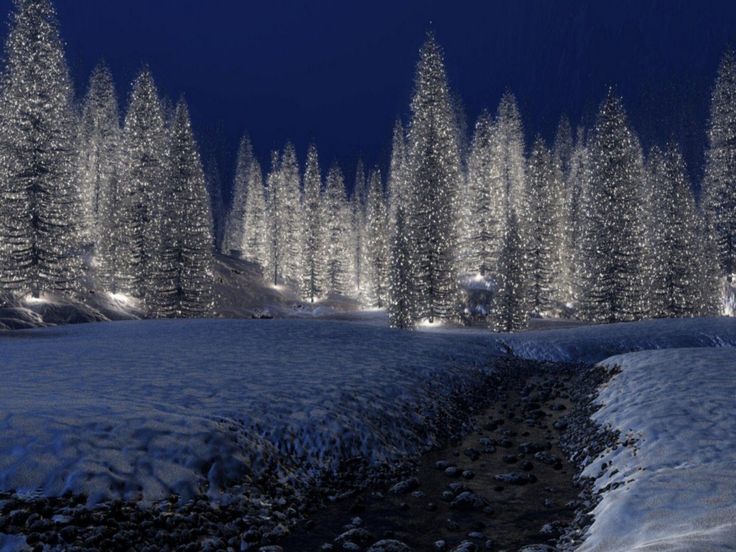 winter christmas wallpaper,snow,winter,nature,tree,blue
