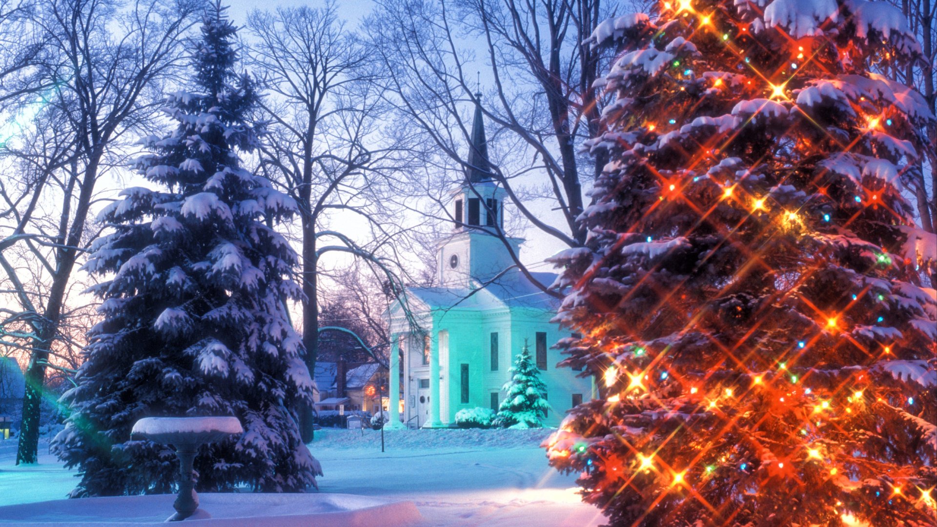 겨울 크리스마스 벽지,겨울,나무,크리스마스 트리,눈,하늘