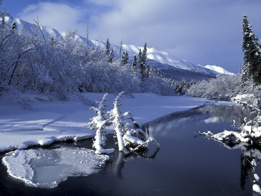 winter christmas wallpaper,natural landscape,nature,winter,snow,freezing