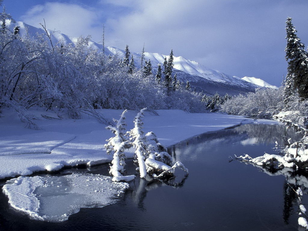 冬のクリスマスの壁紙,自然の風景,自然,冬,雪,凍結