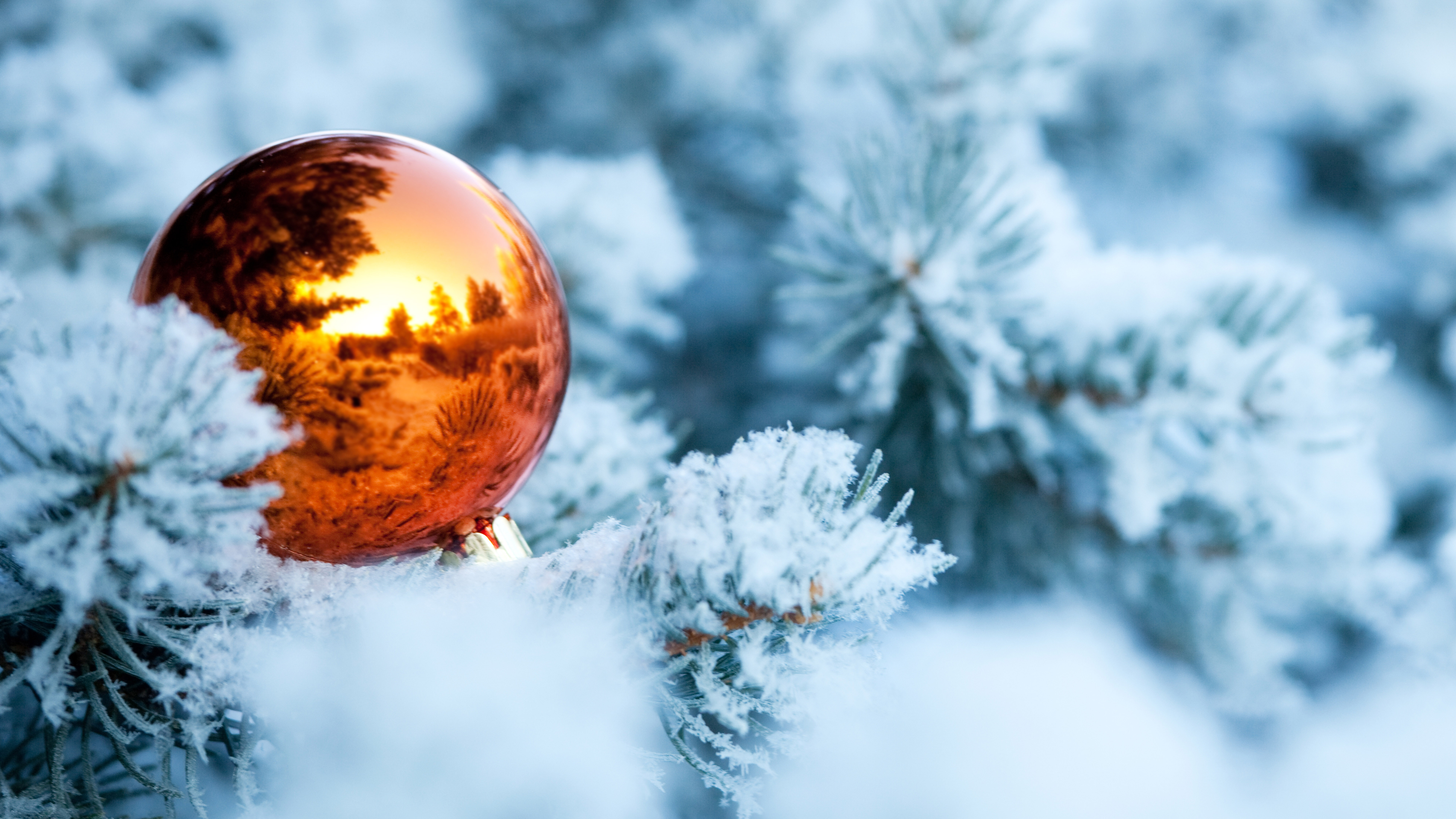 invierno navidad fondo de pantalla,naturaleza,invierno,cielo,congelación,paisaje natural